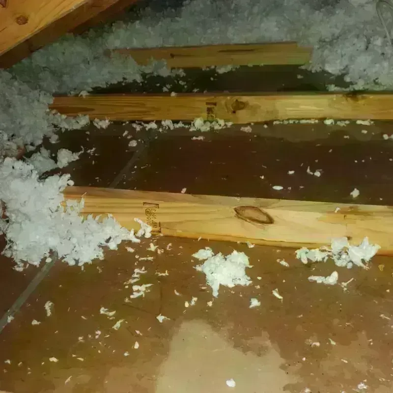 Attic Water Damage in Luxemburg, WI