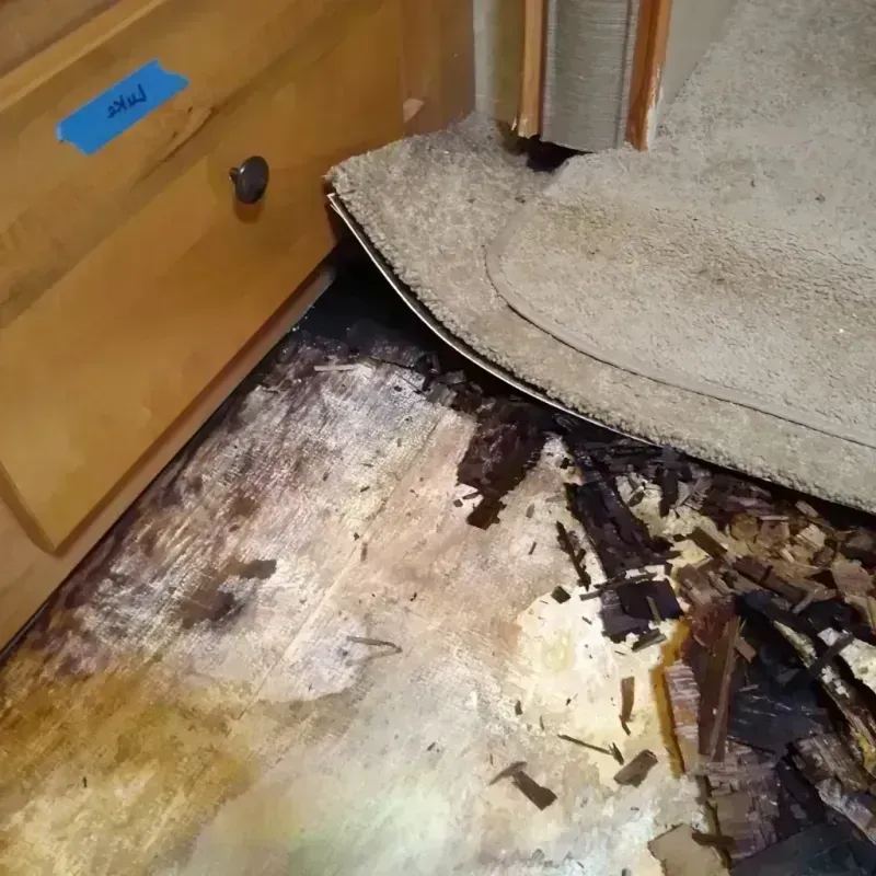 Wood Floor Water Damage in Luxemburg, WI